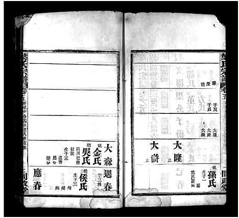 [叶]叶氏宗谱_10卷-Ye Shi_叶氏宗谱 (湖北) 叶氏家谱_五.pdf