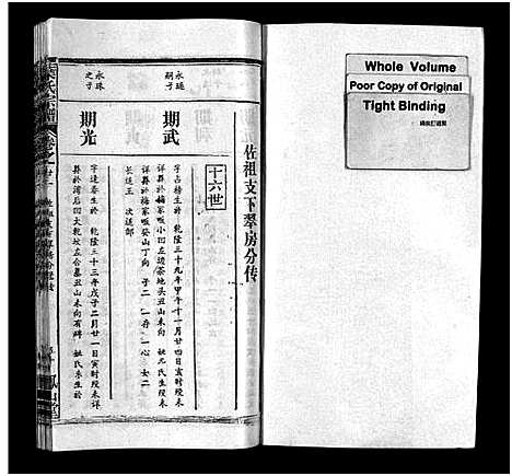 [叶]叶氏宗谱_57卷-Ye Shi_叶氏宗谱 (湖北) 叶氏家谱_三十一.pdf