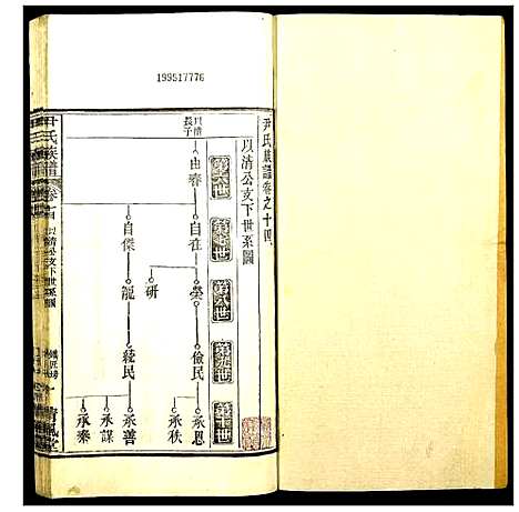 [尹]尹氏族谱 (湖北) 尹氏家谱_十三.pdf