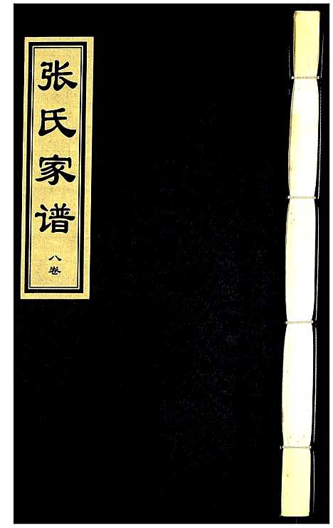 [张]张氏家谱 (河北) 张氏家谱_十一.pdf