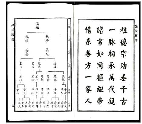 [张]张氏家谱 (河北) 张氏家谱.pdf