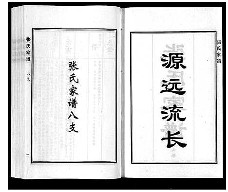 [张]张氏家谱_9卷首1卷 (河北) 张氏家谱_十二.pdf