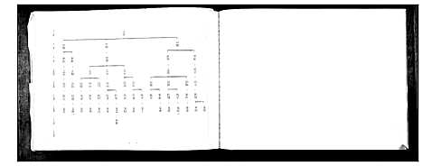 [张]张氏支系族谱 (河北) 张氏支系家谱_一.pdf