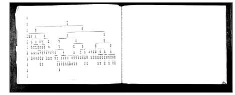 [张]张氏支系族谱 (河北) 张氏支系家谱_一.pdf