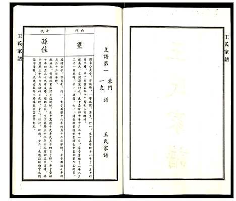 [王]王氏家谱 (河北) 王氏家谱_二.pdf