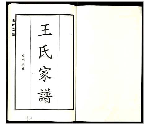 [王]王氏家谱 (河北) 王氏家谱_七.pdf