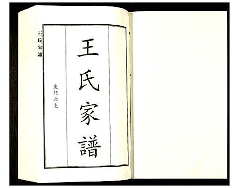 [王]王氏家谱 (河北) 王氏家谱_九.pdf