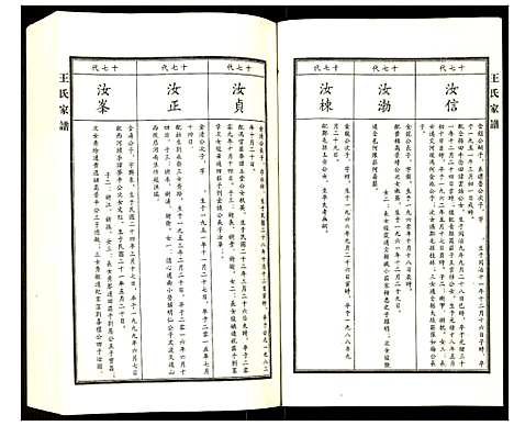 [王]王氏家谱 (河北) 王氏家谱_九.pdf