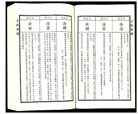 [王]王氏家谱 (河北) 王氏家谱_九.pdf