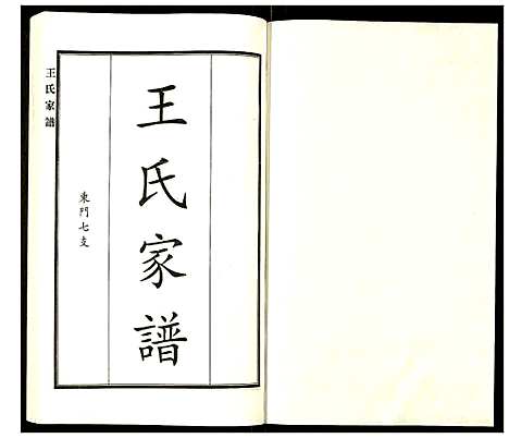 [王]王氏家谱 (河北) 王氏家谱_十一.pdf