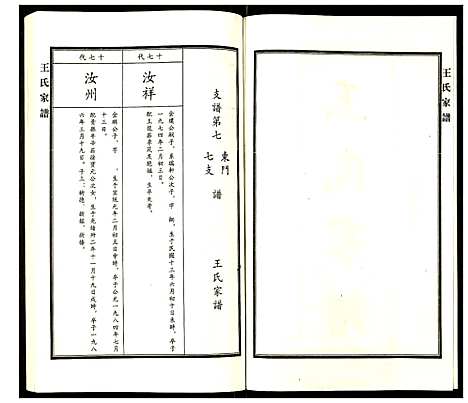 [王]王氏家谱 (河北) 王氏家谱_十一.pdf