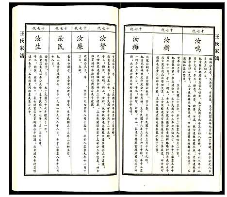 [王]王氏家谱 (河北) 王氏家谱_十一.pdf