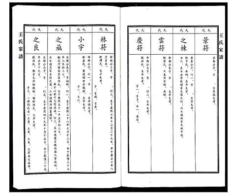 [王]王氏家谱 (河北) 王氏家谱_四.pdf