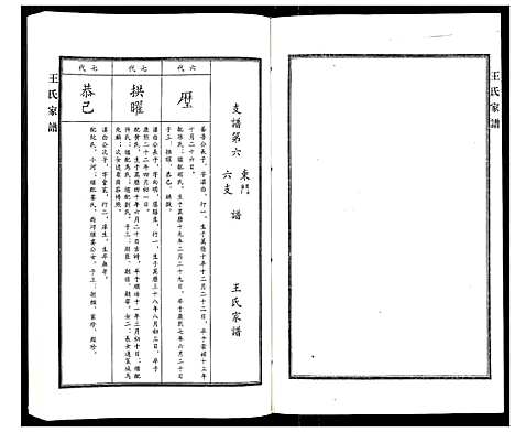 [王]王氏家谱 (河北) 王氏家谱_八.pdf