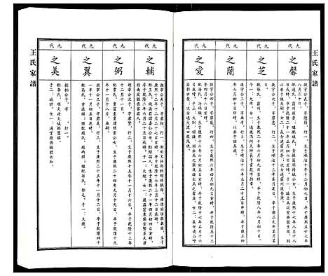 [王]王氏家谱 (河北) 王氏家谱_八.pdf