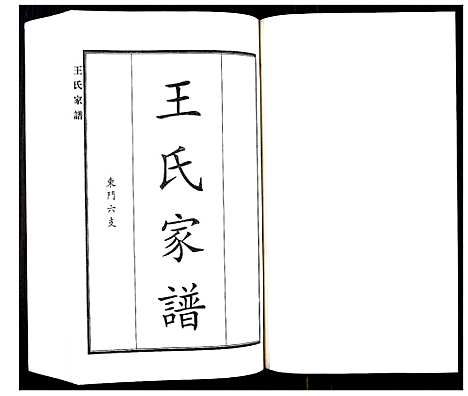 [王]王氏家谱 (河北) 王氏家谱_九.pdf