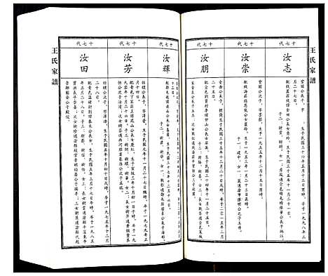 [王]王氏家谱 (河北) 王氏家谱_九.pdf