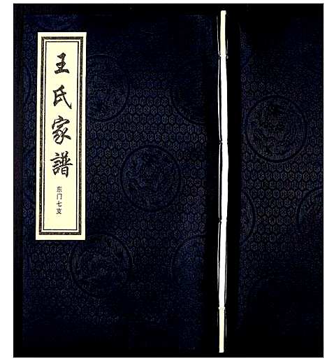 [王]王氏家谱 (河北) 王氏家谱_十.pdf