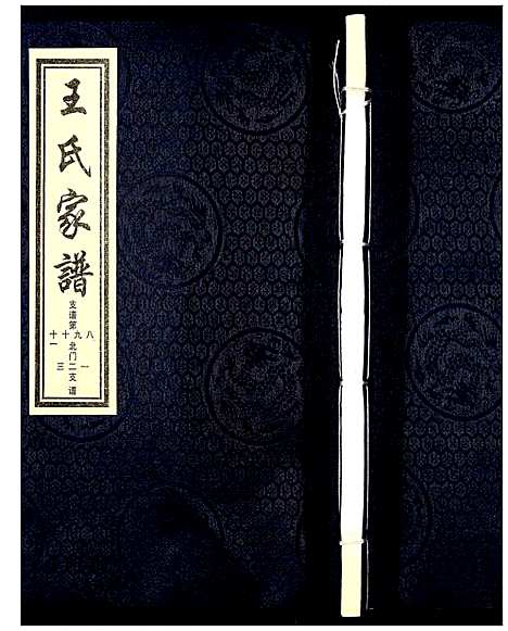 [王]王氏家谱 (河北) 王氏家谱_十二.pdf