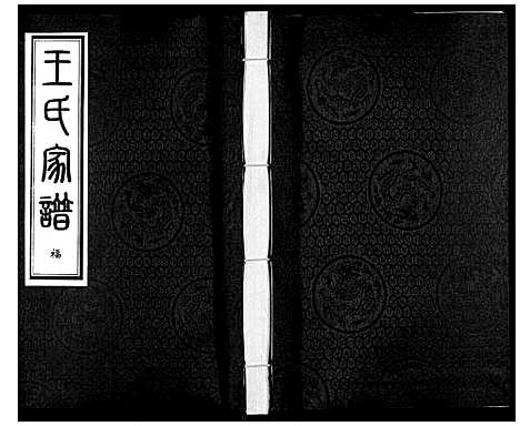 [王]王氏家谱_5卷 (河北) 王氏家谱_一.pdf