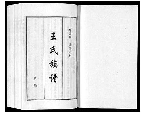 [王]王氏族谱 (河北) 王氏家谱_一.pdf