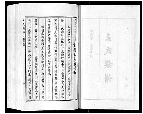 [王]王氏族谱 (河北) 王氏家谱_一.pdf