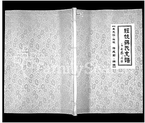 [蒋]绥棱蒋氏支谱_蒋氏支谱 (黑龙江) 绥棱蒋氏支谱.pdf