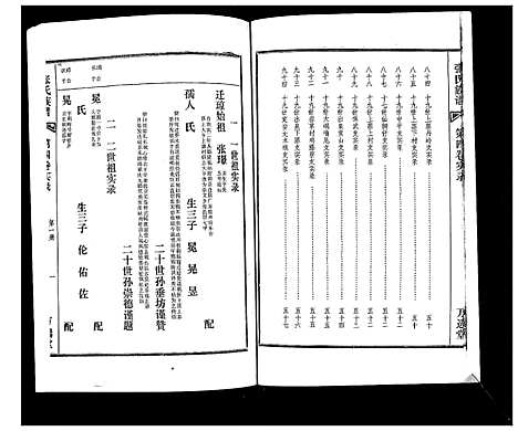 [张]张氏族谱_4卷 (海南) 张氏家谱_四.pdf