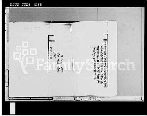 [林]林氏家谱_存卷 (海南) 林氏家谱.pdf