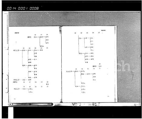 [王]临高王氏宗谱_10卷 (海南) 临高王氏家谱_二.pdf