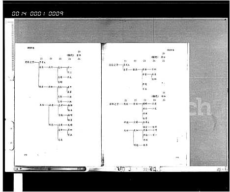 [王]临高王氏宗谱_10卷 (海南) 临高王氏家谱_二.pdf