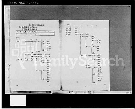 [王]临高王氏宗谱_10卷 (海南) 临高王氏家谱_三.pdf