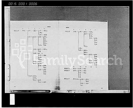 [王]临高王氏宗谱_10卷 (海南) 临高王氏家谱_三.pdf