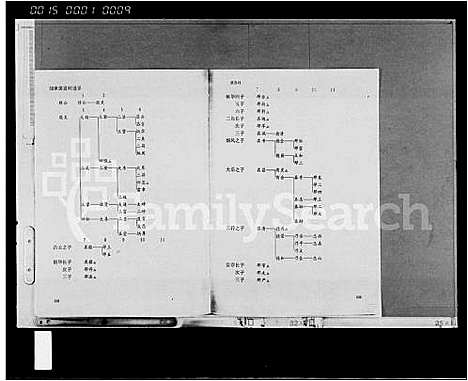 [王]临高王氏宗谱_10卷 (海南) 临高王氏家谱_三.pdf