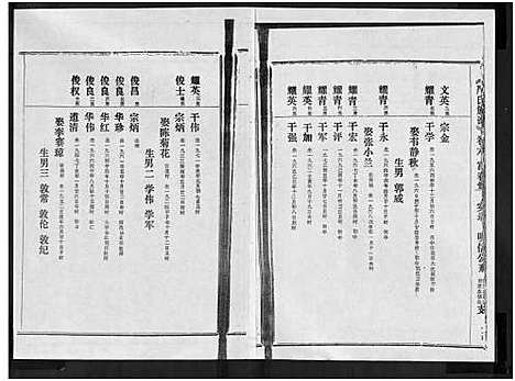 [严]富春堂严氏族谱_残卷-严氏族谱 (海南) 富春堂严氏家谱_十一.pdf