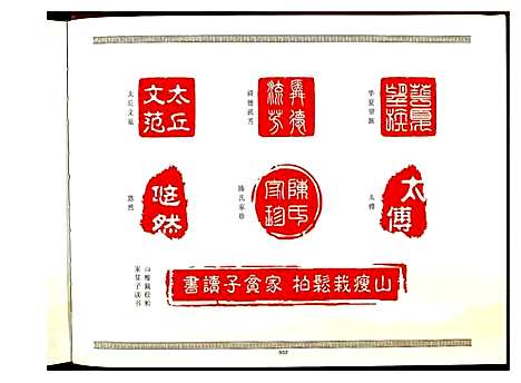 [陈]颍川南陈马坪族谱 (河南) 颍川南陈马坪家谱.pdf