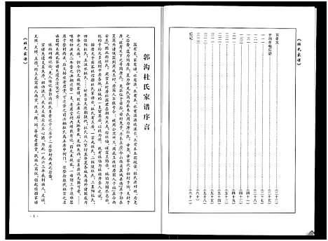 [杜]郭沟杜氏家谱_杜氏家谱 (河南) 郭沟杜氏家谱.pdf