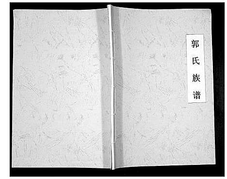 [郭]郭氏族谱_不分卷 (河南) 郭氏家谱_一.pdf