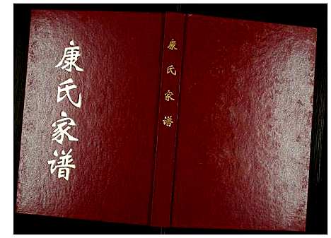 [康]康氏家谱 (河南) 康氏家谱_一.pdf