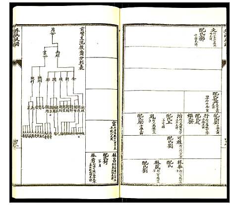 [李]李氏支谱 (河南) 李氏支谱_五.pdf