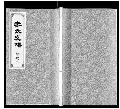 [李]李氏支谱 (河南) 李氏支谱_一.pdf