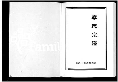 [李]李氏宗谱-李氏_李大畈支系 (河南) 李氏家谱.pdf