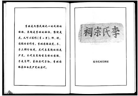 [李]李氏宗谱-李氏_李大畈支系 (河南) 李氏家谱.pdf