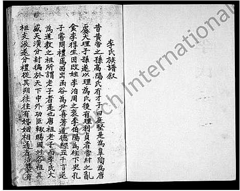 [李]李氏家谱 (河南) 李氏家谱.pdf