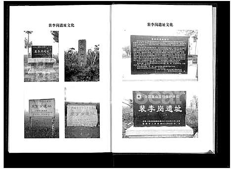 [李]李氏家谱-河南省新郑市裴李岗 (河南) 李氏家谱.pdf