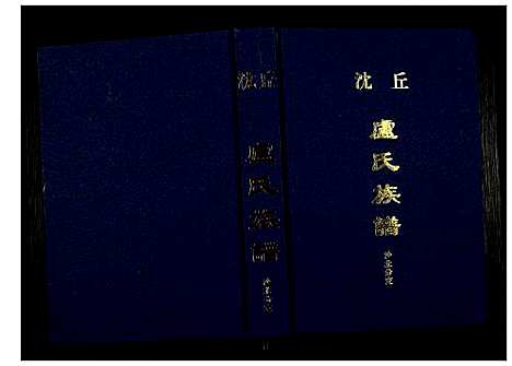 [卢]卢氏族谱沙北分支 (河南) 卢氏家谱.pdf