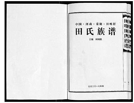 [田]田咀田氏族谱_不分卷 (河南) 田咀田氏家谱.pdf