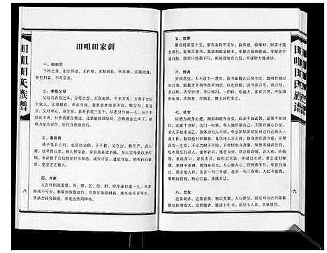 [田]田咀田氏族谱_不分卷 (河南) 田咀田氏家谱.pdf