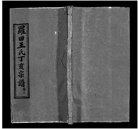 [王]罗田王氏丁亥宗谱_13卷-王氏宗谱_罗田王氏丁亥宗谱 (河南、安徽) 罗田王氏丁亥家谱_八.pdf