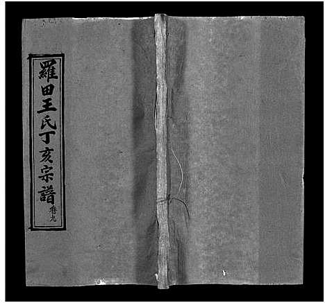 [王]罗田王氏丁亥宗谱_13卷-王氏宗谱_罗田王氏丁亥宗谱 (河南、安徽) 罗田王氏丁亥家谱_九.pdf